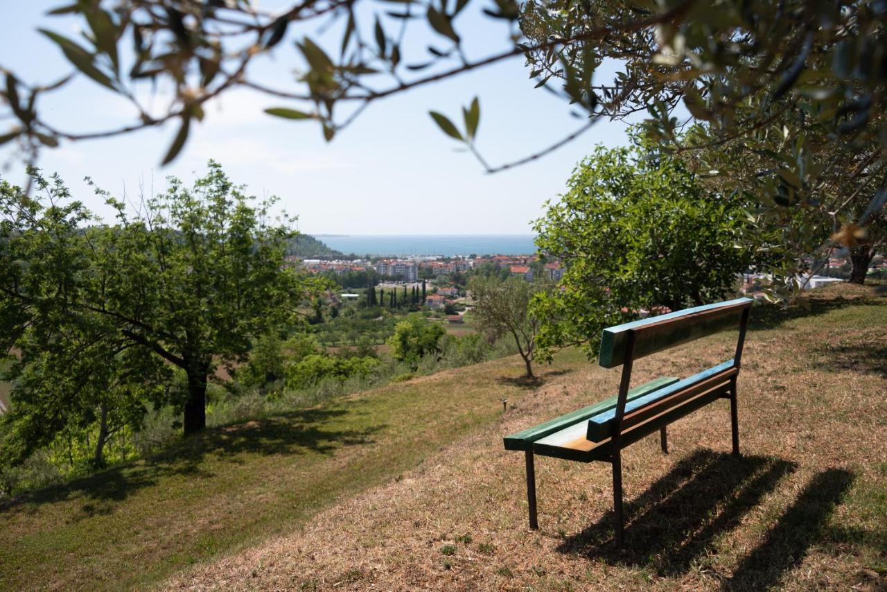 הוילה בפורטורוז Istrian Casa Ladonia By Locap Group מראה חיצוני תמונה