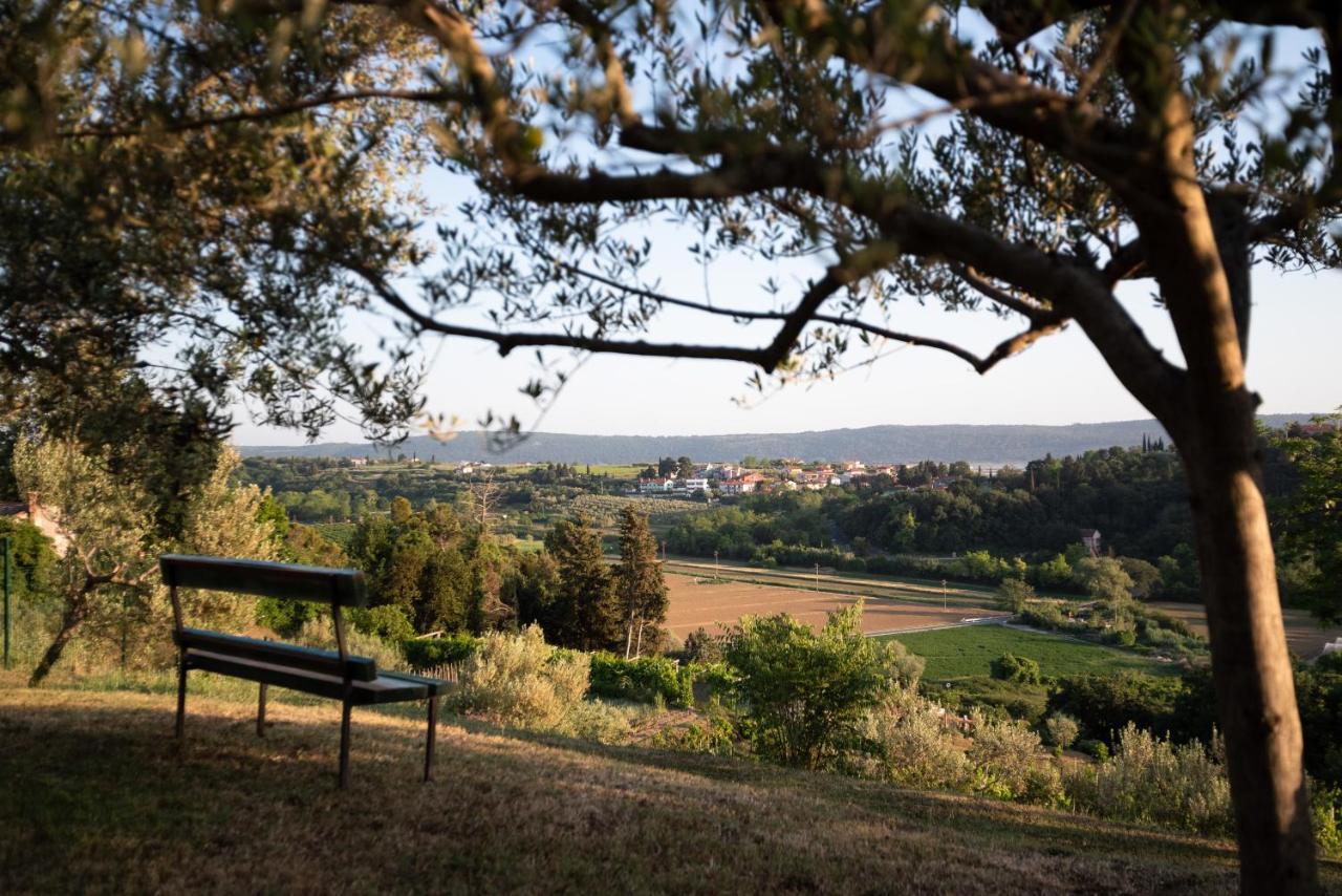 הוילה בפורטורוז Istrian Casa Ladonia By Locap Group מראה חיצוני תמונה