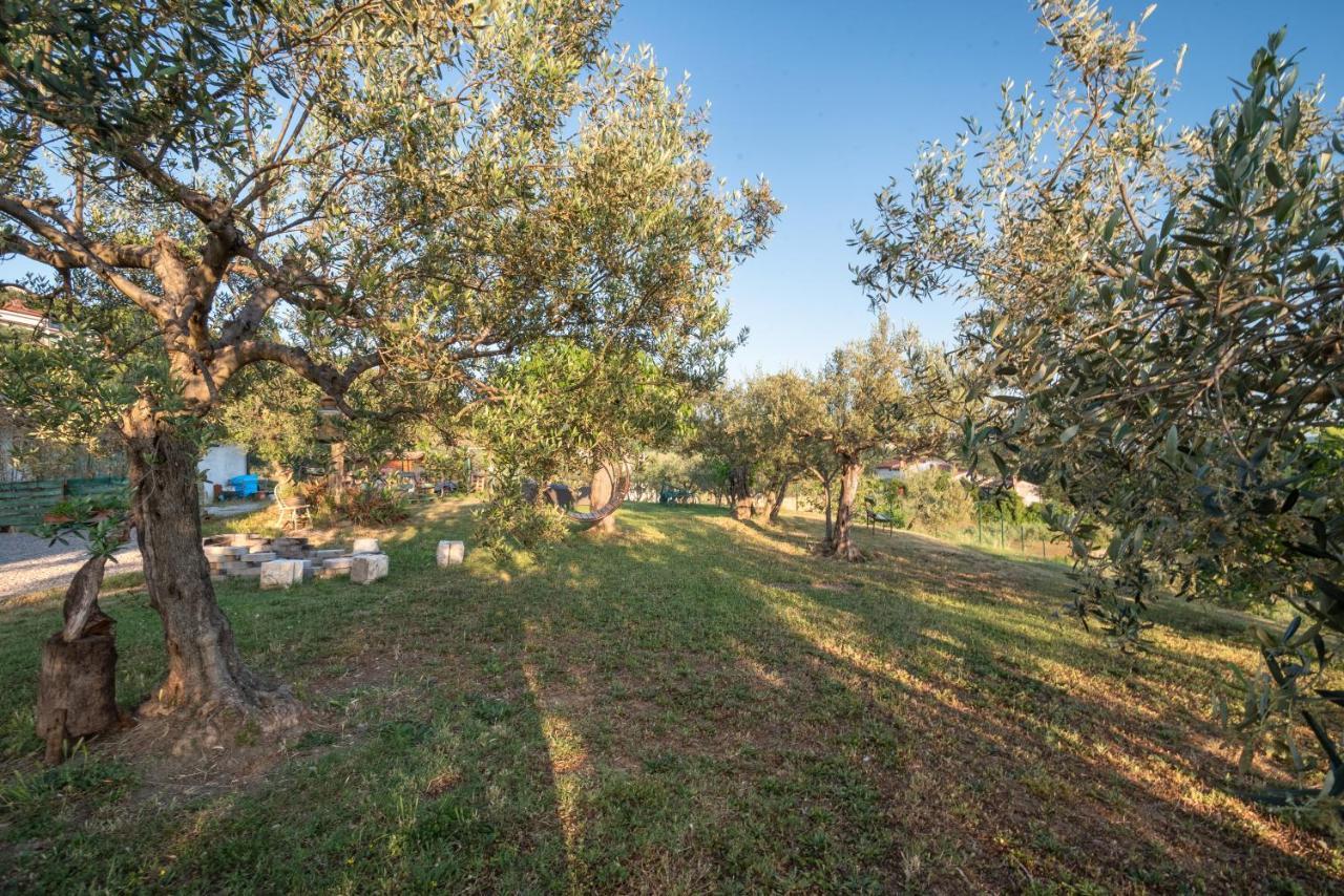 הוילה בפורטורוז Istrian Casa Ladonia By Locap Group מראה חיצוני תמונה